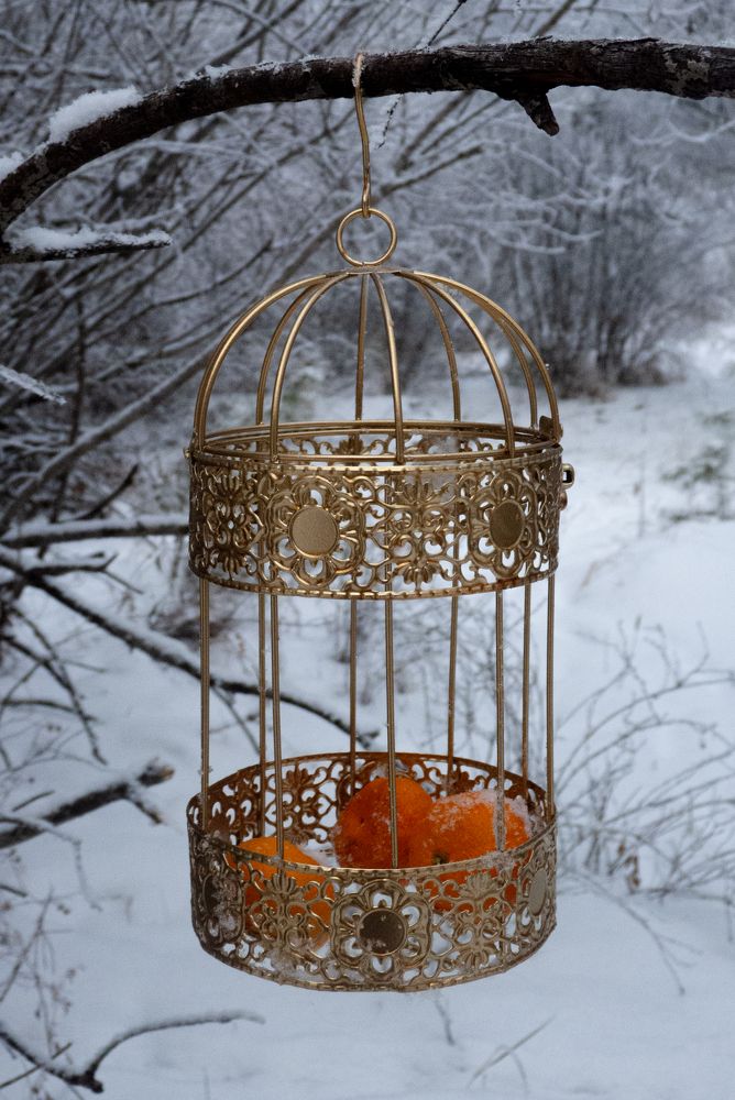 Photograph by Ирина Петракович