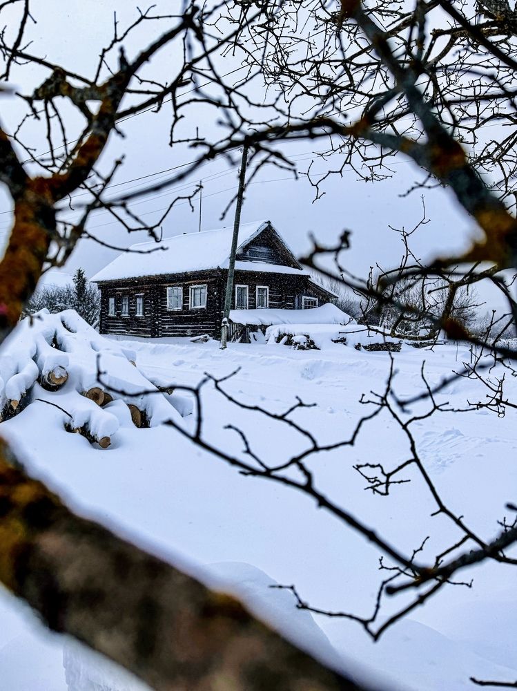 Photograph by Татьяна Зенина