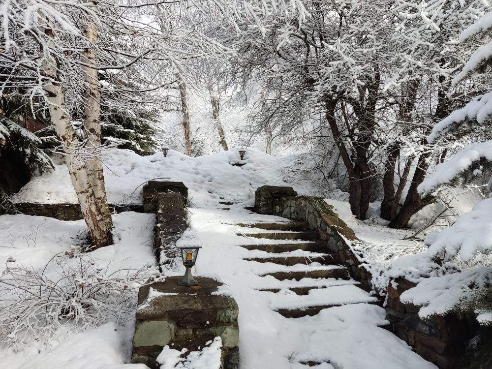 Photograph by Гюзель Даугуль