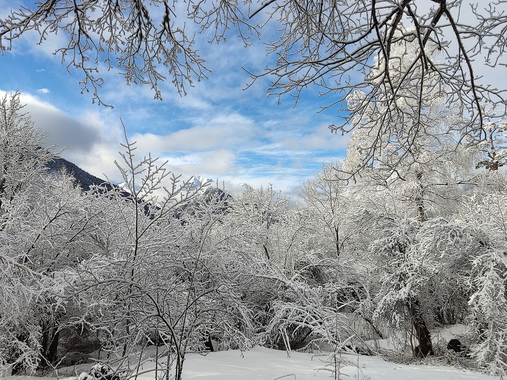 Photograph by Гюзель Даугуль