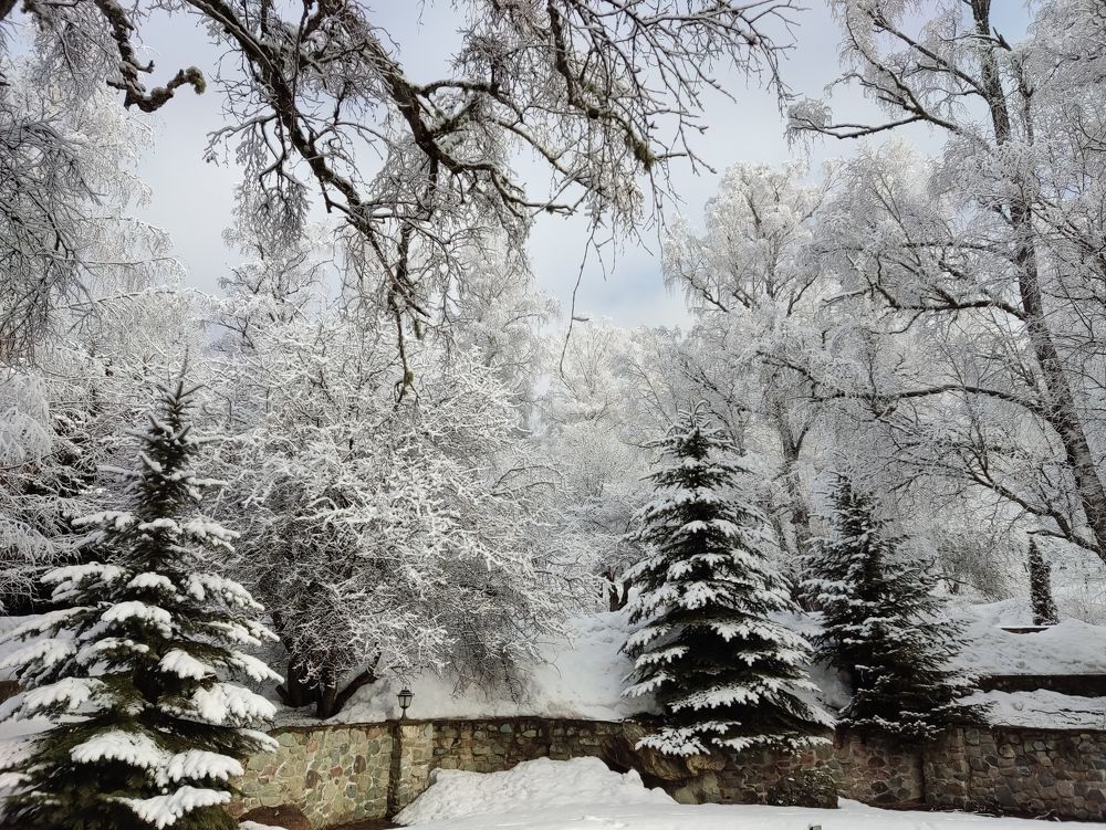 Photograph by Гюзель Даугуль