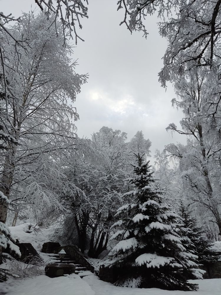 Photograph by Гюзель Даугуль