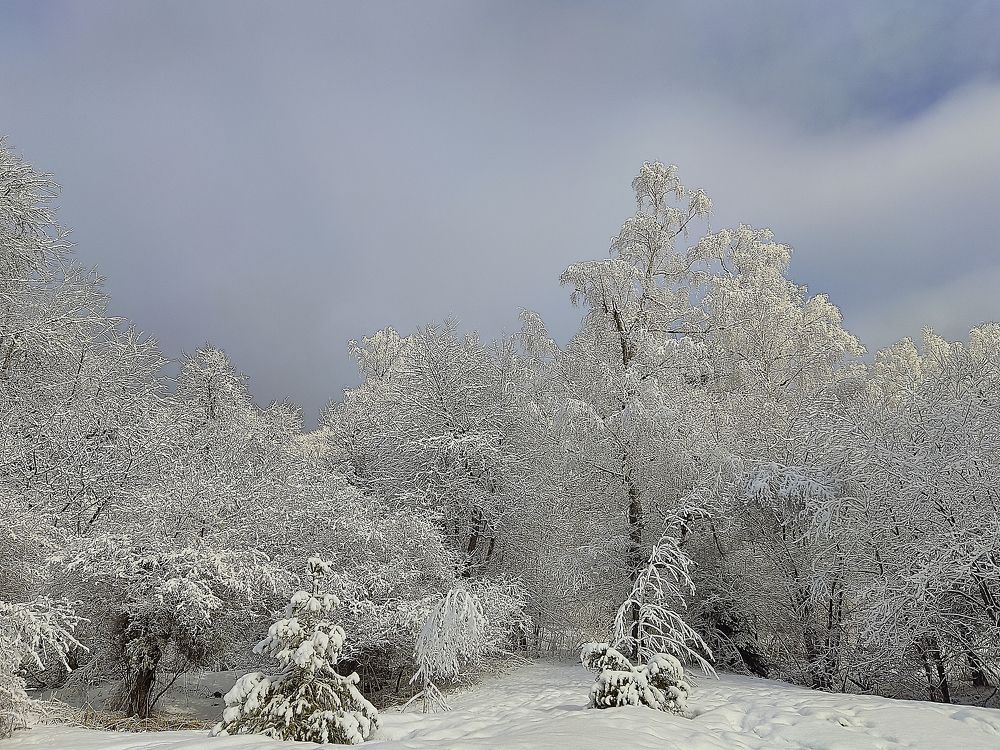 Photograph by Гюзель Даугуль