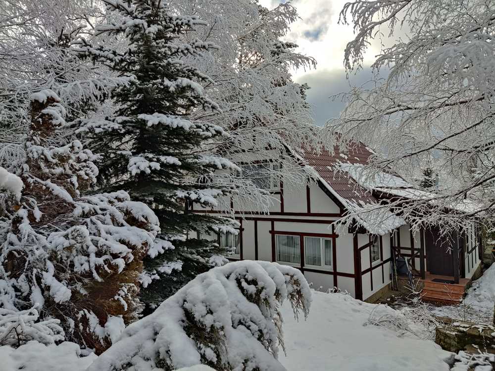 Photograph by Гюзель Даугуль