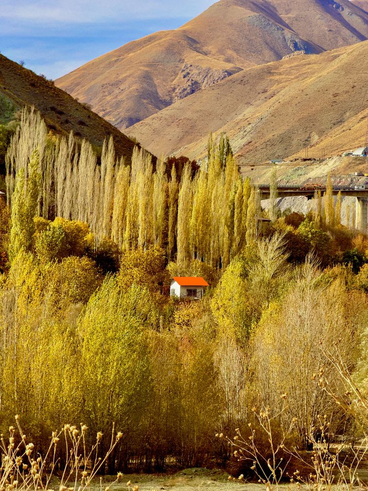 Фотография автора Mohammed Alhusseini