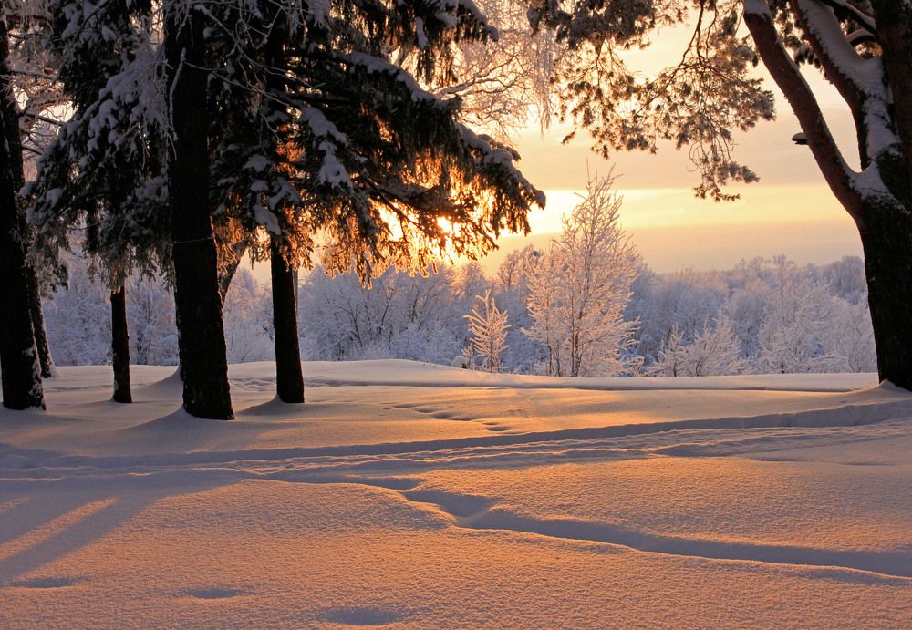 Photograph by Елена Маракулина