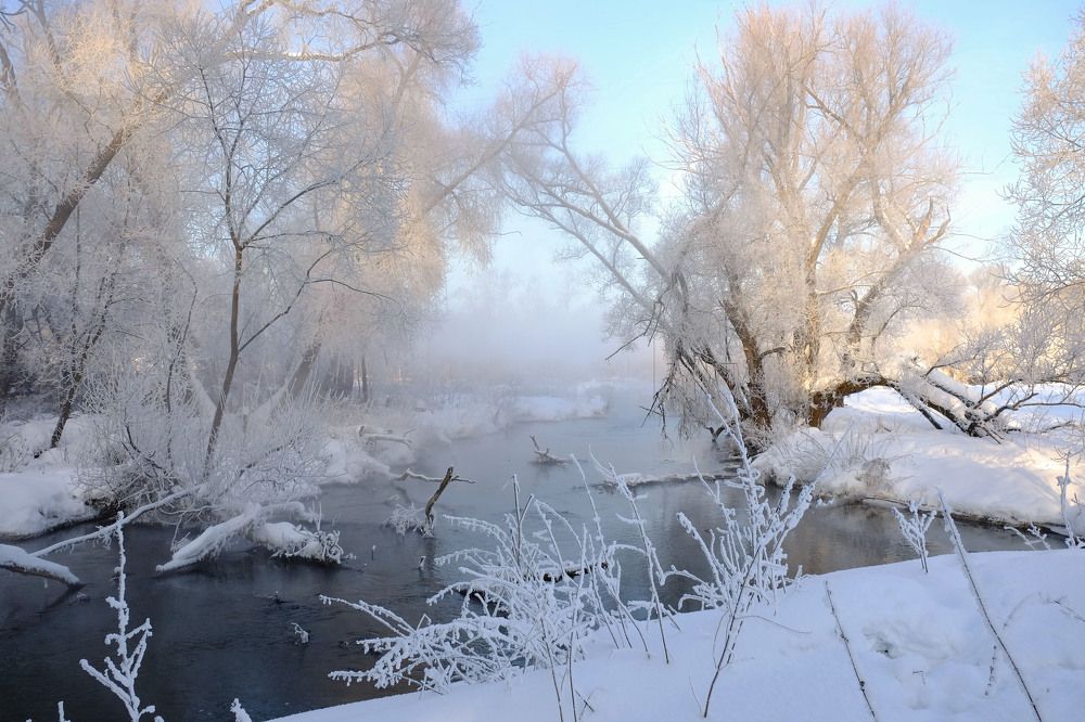 Photograph by Елена Маракулина