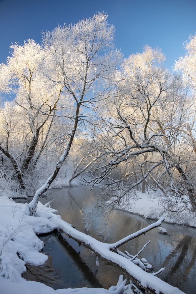 Зимняя Сходня