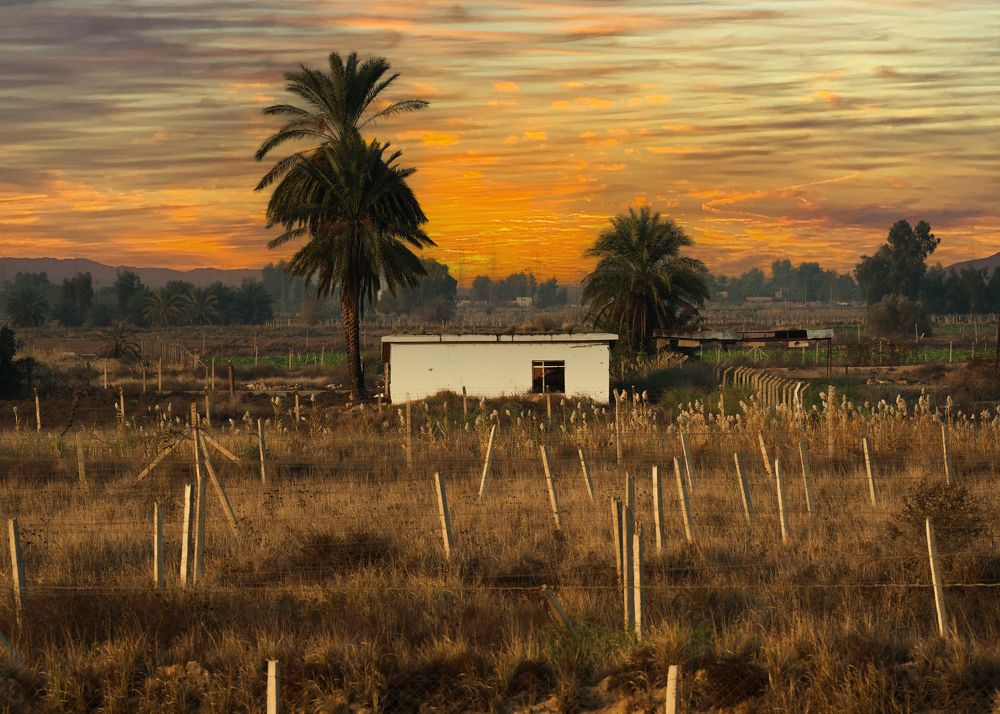 Фотография автора Mohammed Alhusseini