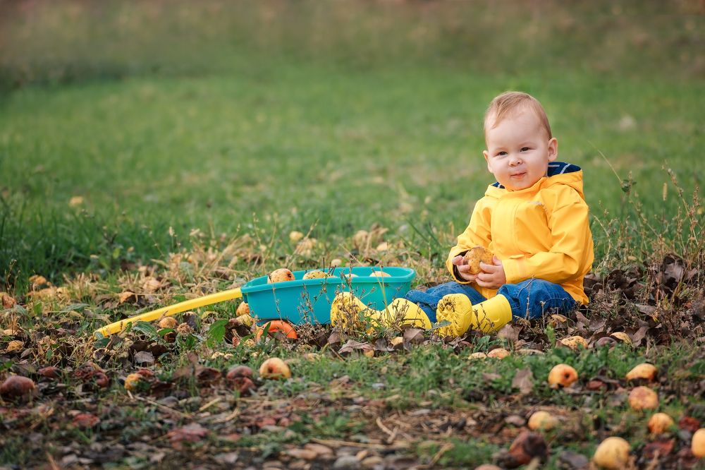 Фотография автора Галина Шепелева
