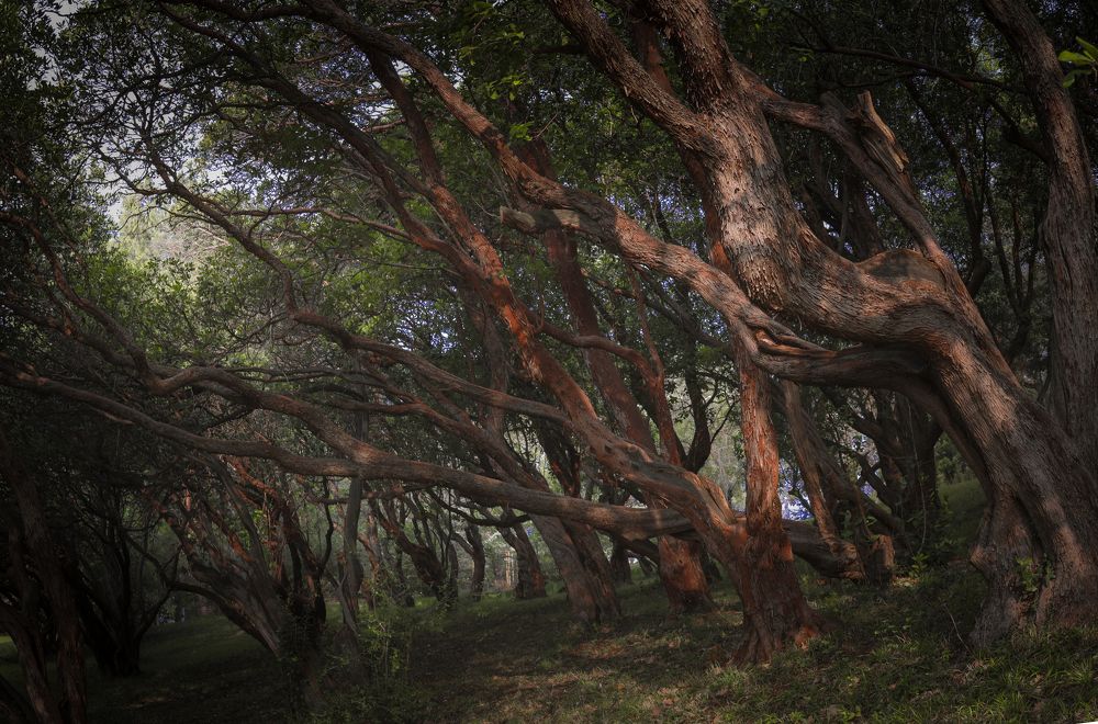 Photograph by Eva Wiedemann