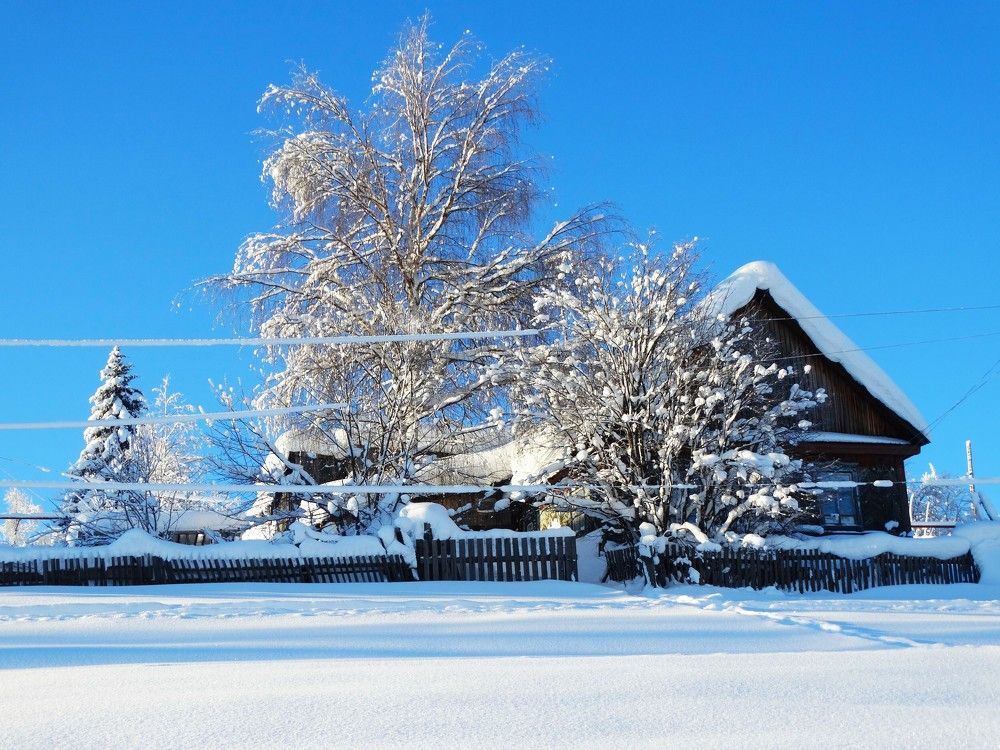 Photograph by Николай Худяков