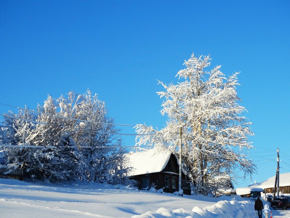 Photograph by Николай Худяков