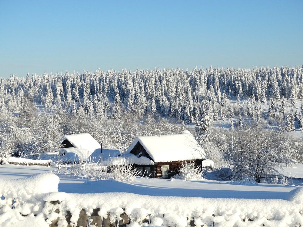 Photograph by Николай Худяков