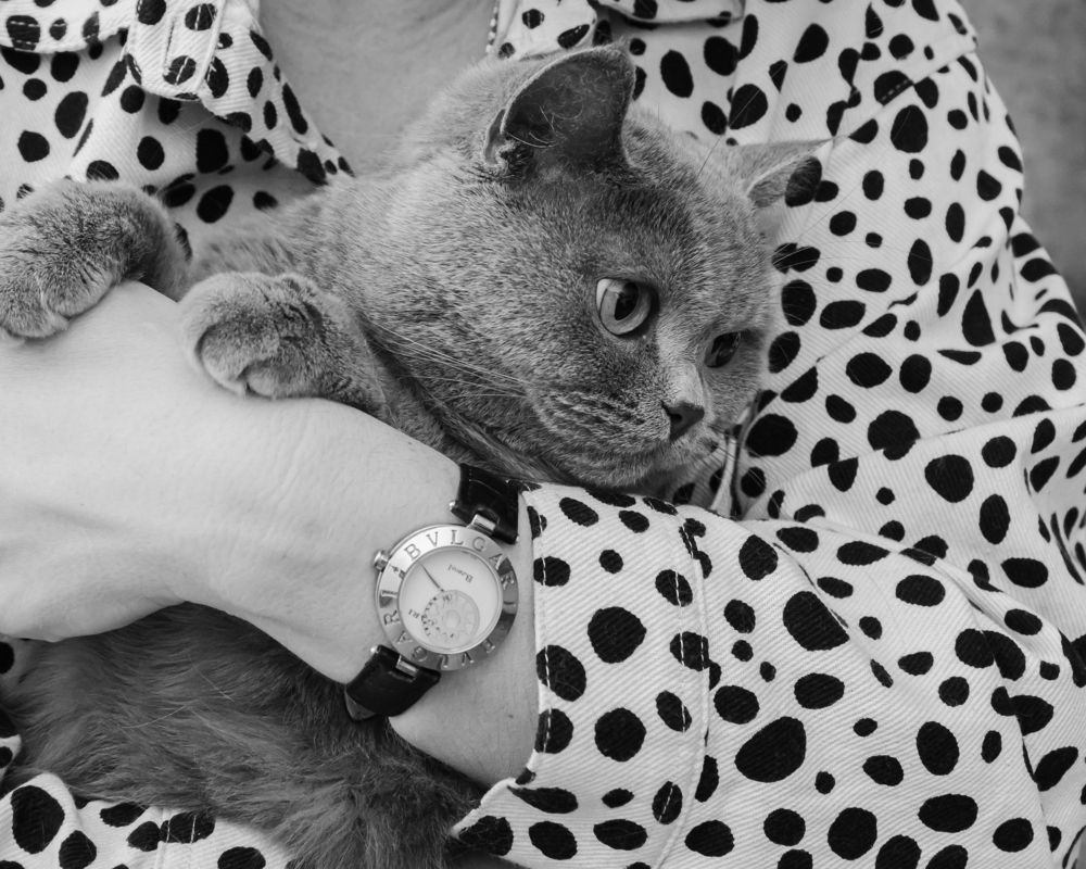 "Милый плюшевый, но вредный"