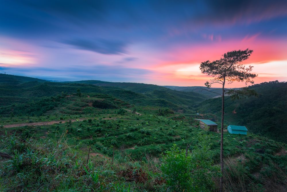 Photograph by Dong Huynh