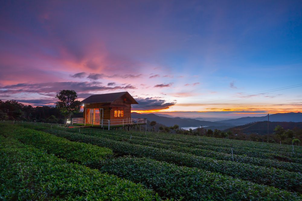 Photograph by Dong Huynh