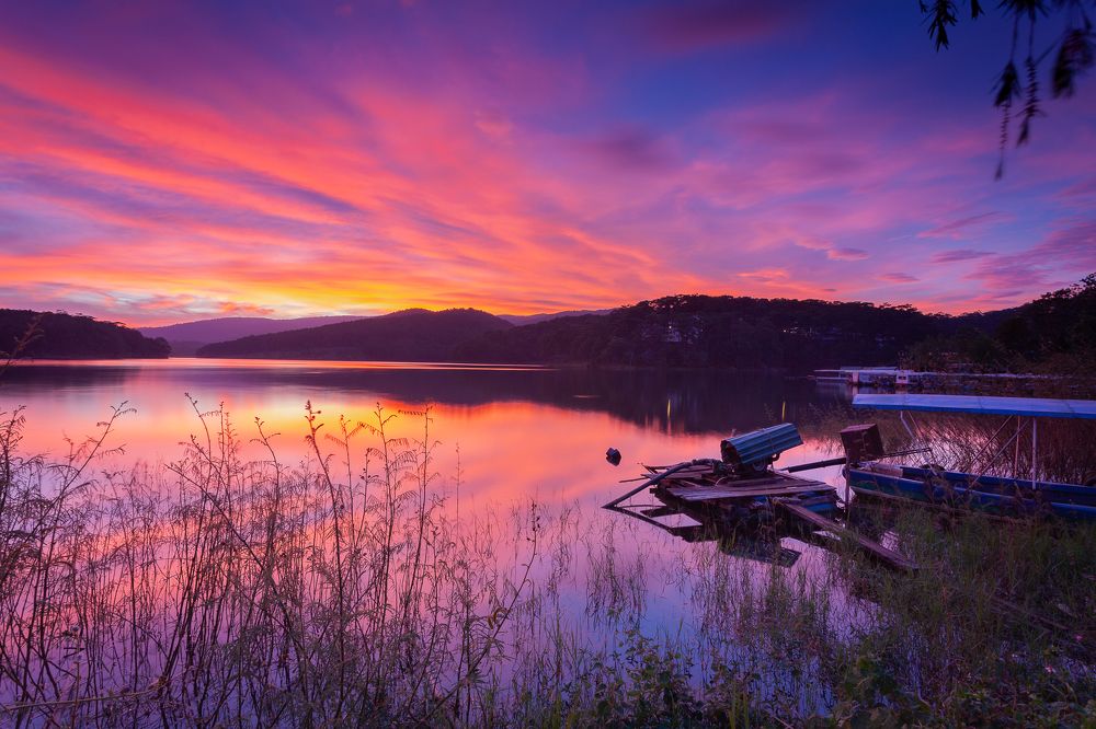 Photograph by Dong Huynh