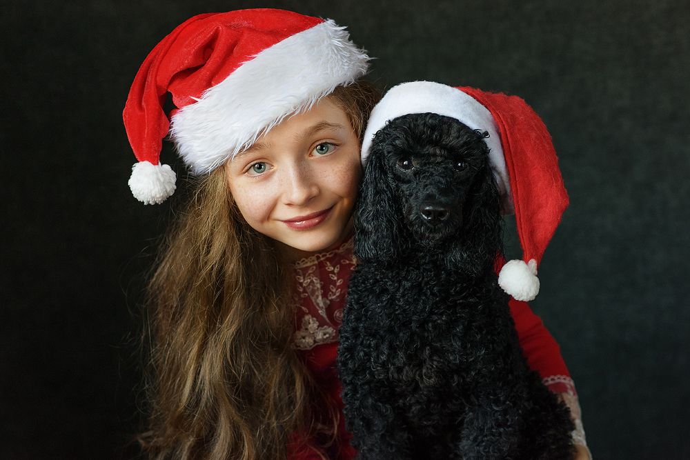 Photograph by Солоницына Светлана