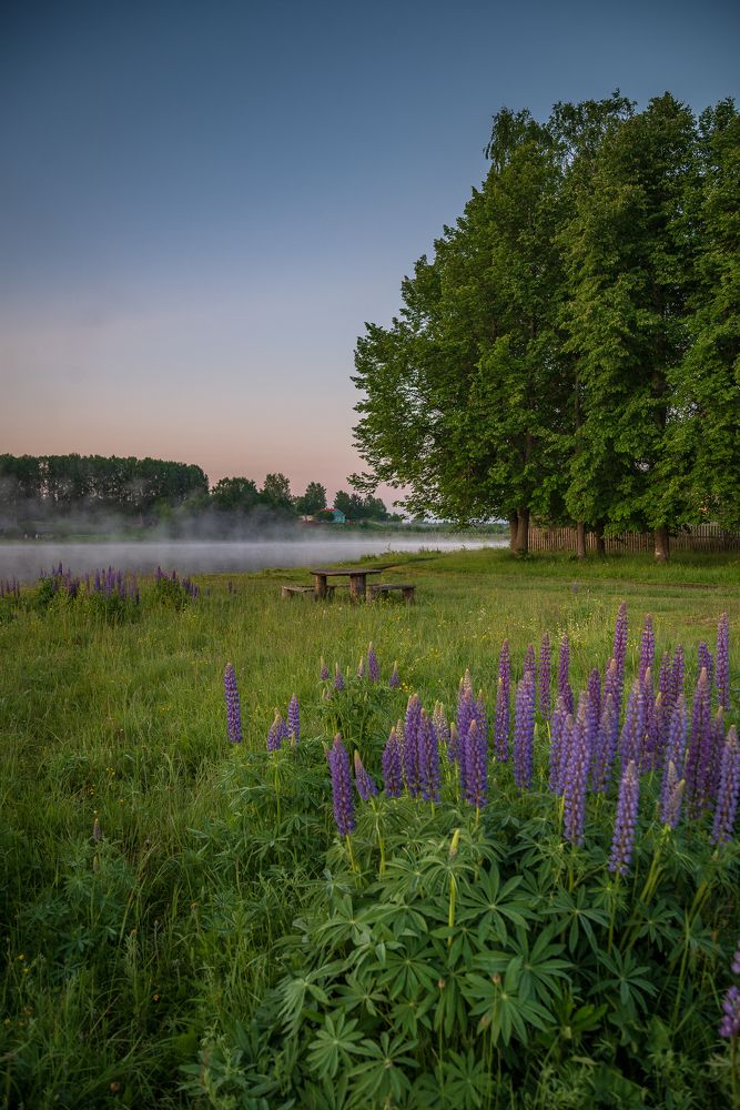 Фотография автора Шуплецов Алексей