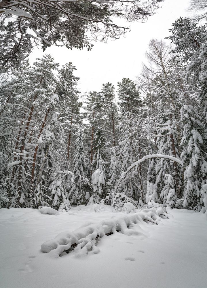 Фотография автора Шуплецов Алексей