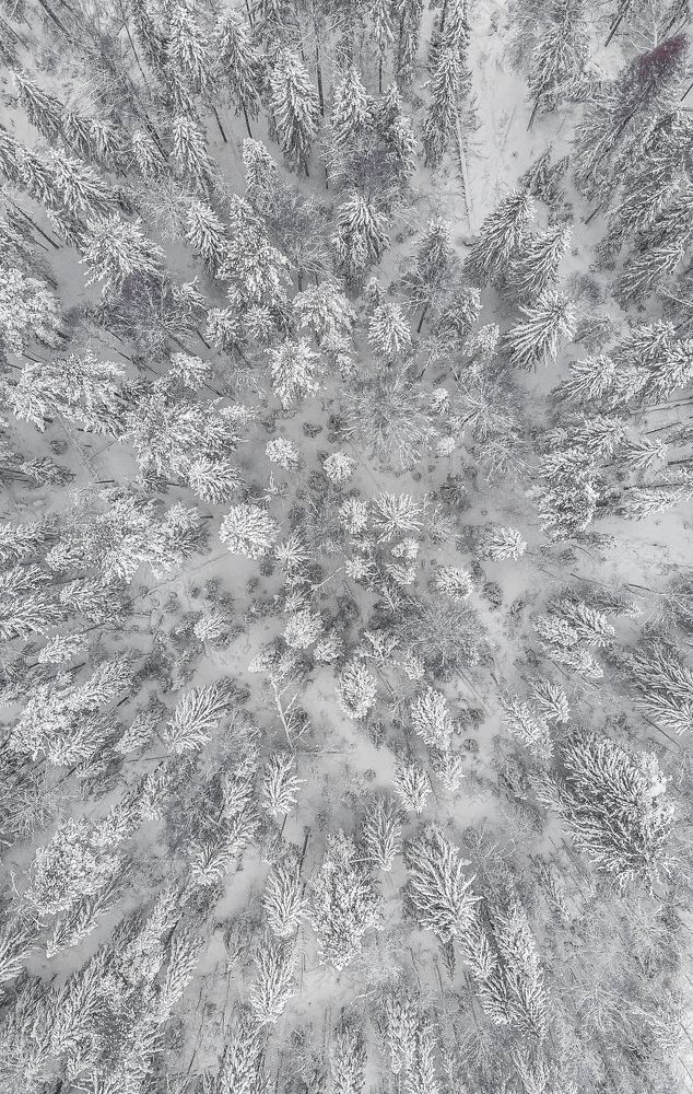 Фотография автора Шуплецов Алексей