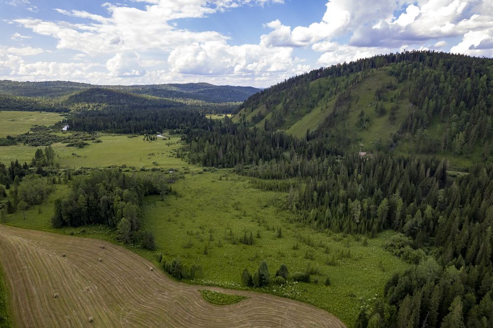 Photograph by Денис Вавилов