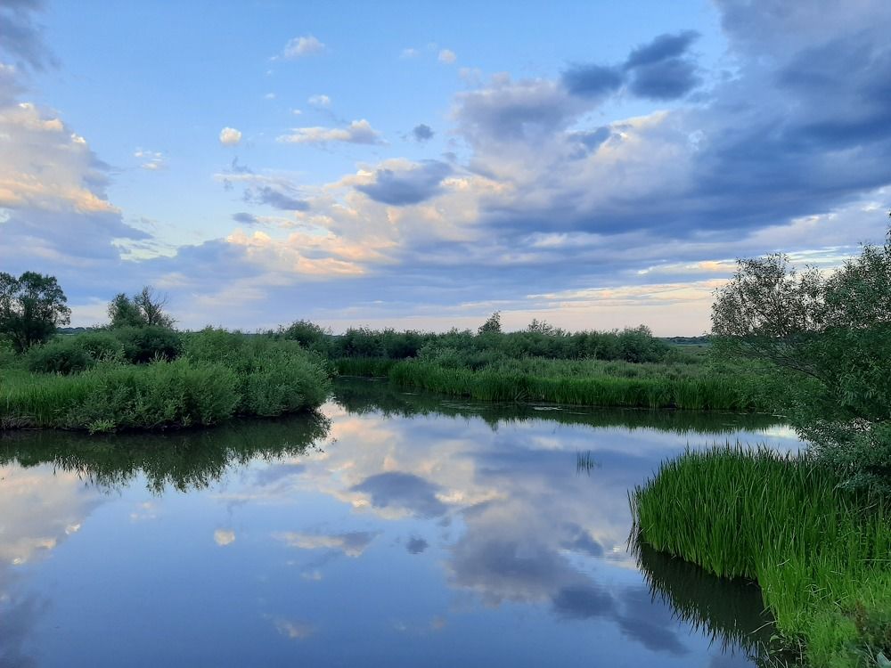 Photograph by Татьяна Чижикова