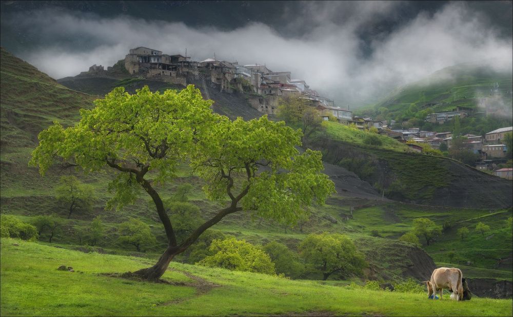 Photograph by Влад Соколовский