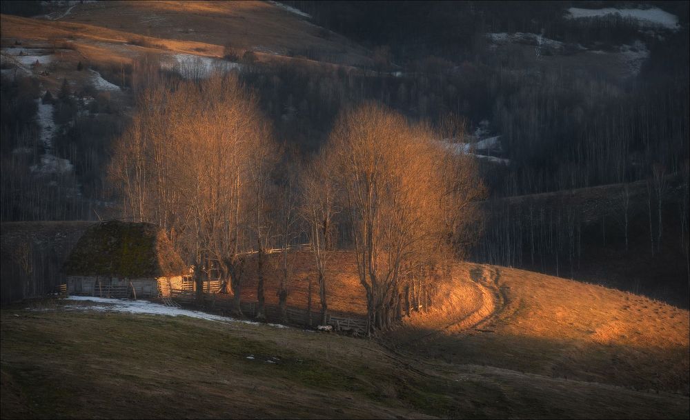 Photograph by Влад Соколовский