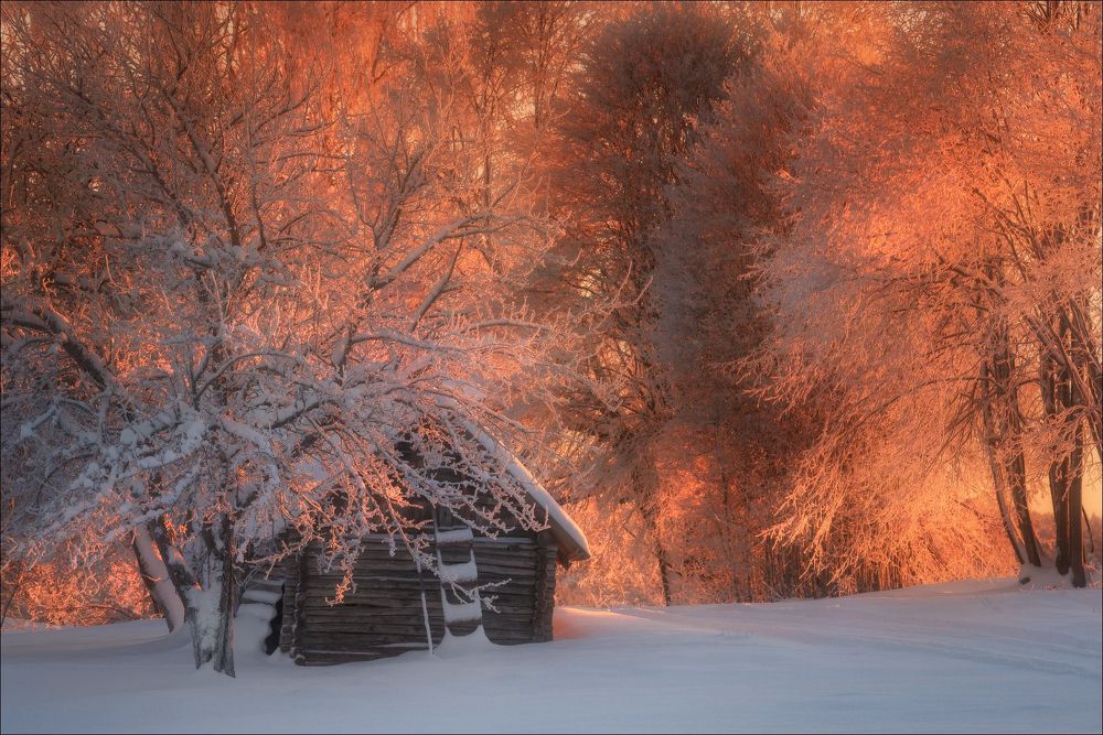 Photograph by Влад Соколовский