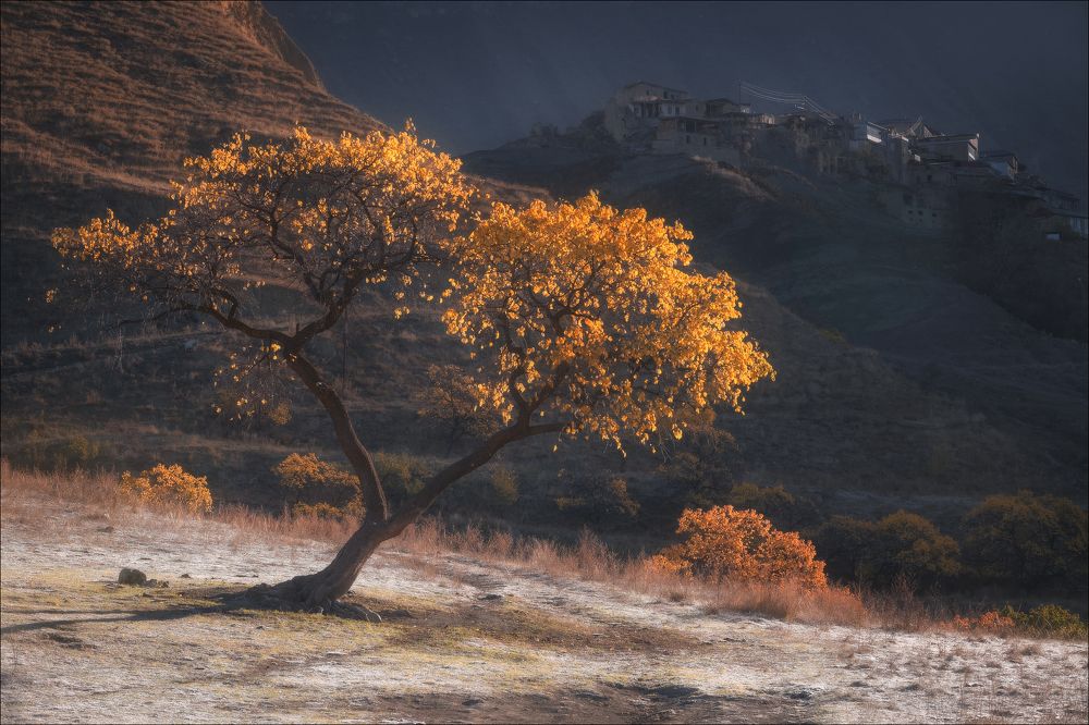 Photograph by Влад Соколовский