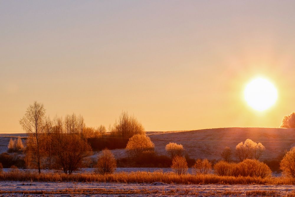 Фотография автора Кристина Догодька
