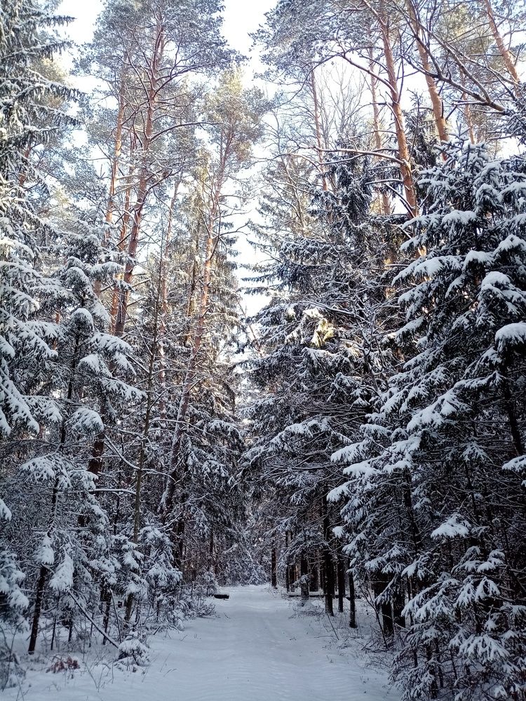 Photograph by Михаил Царикевич