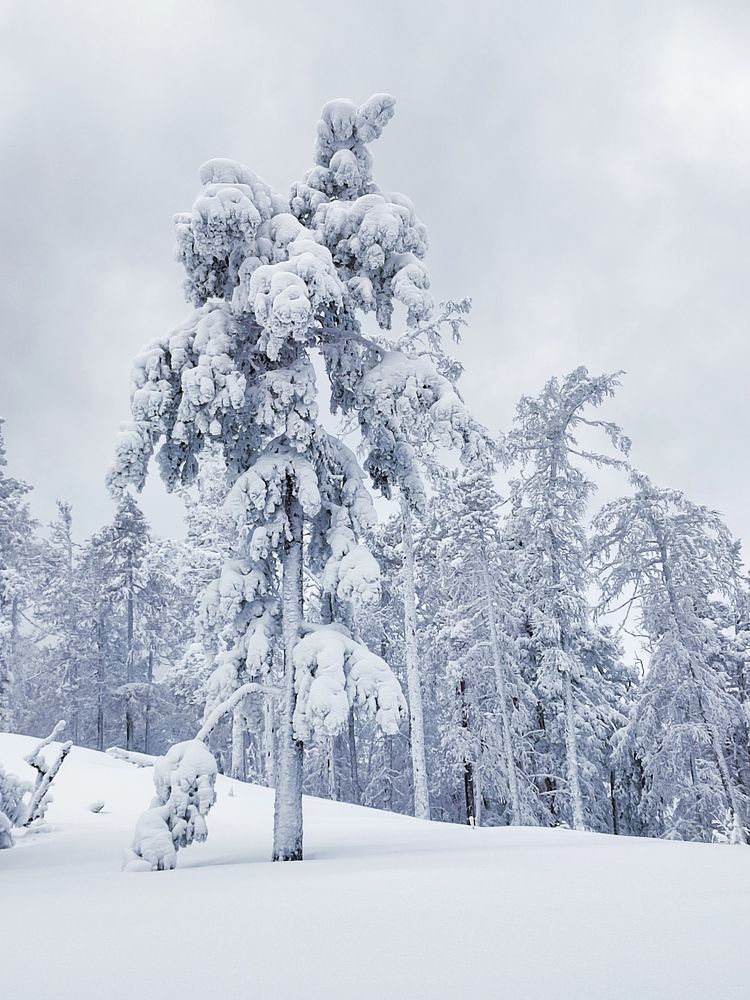 Photograph by Юлия Гинтер