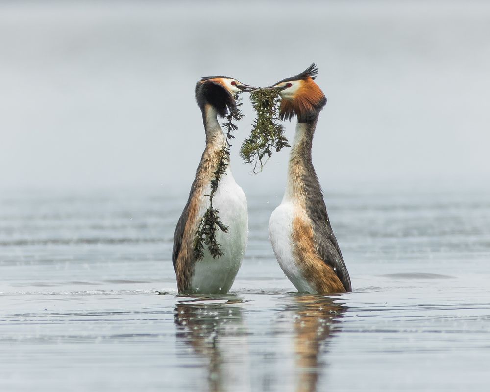 Фотография автора Суслов Дмитрий
