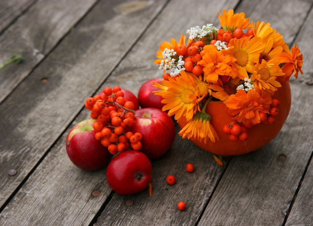 Photograph by Алена Ходатович