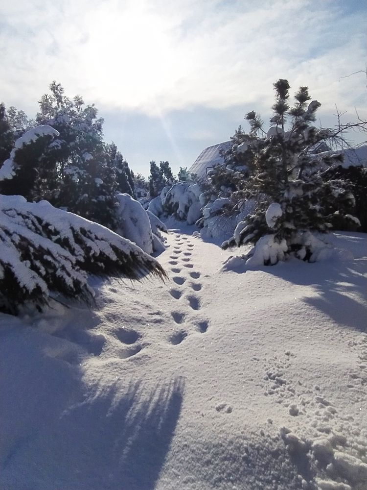 Фотография автора Елена Александрова