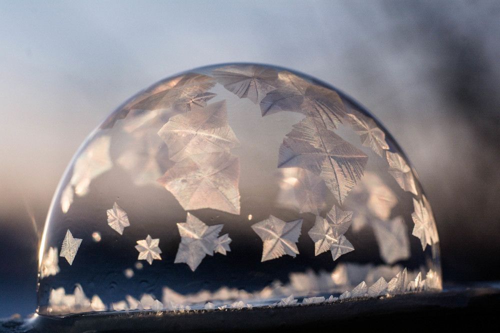 Photograph by Людмила Прибылова