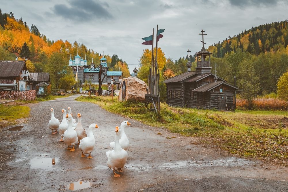 Край сентября. Земля Постникова.