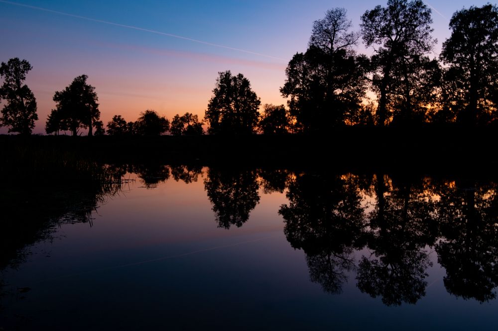 Photograph by Алиса