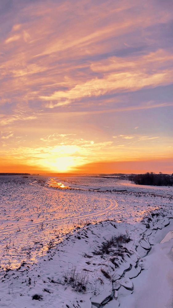 Фотография автора Светлана Сергеевна