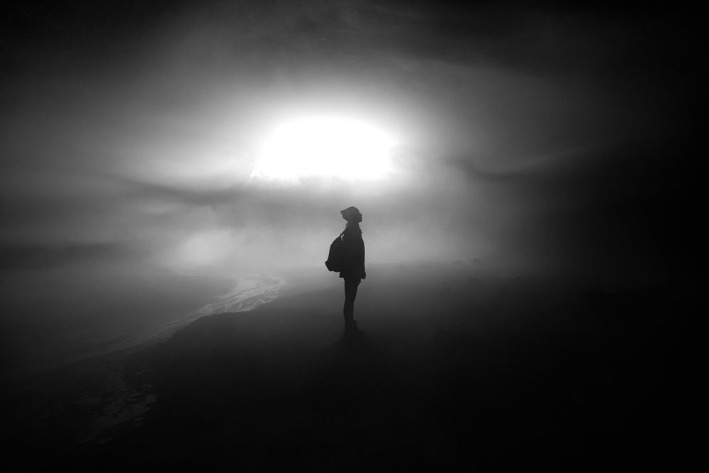 Ёжик в тумане