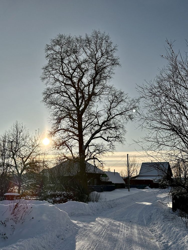 Photograph by Гуляева Светлана