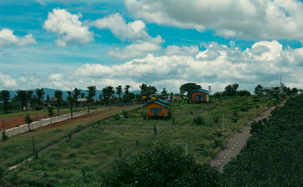 Фотография автора Anh Tri ( Fat Cat )