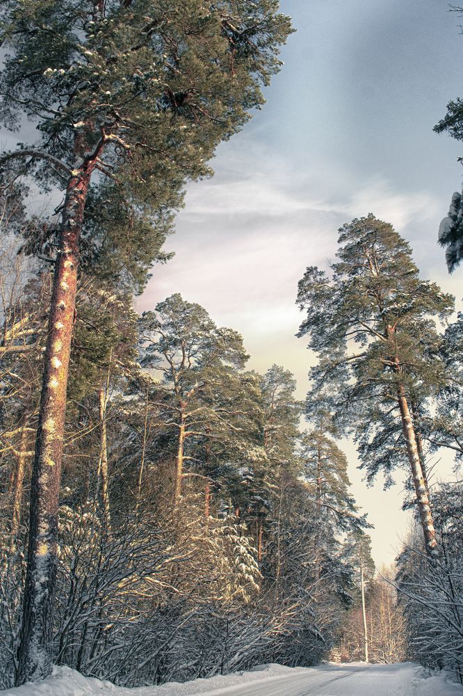 Photograph by Альфия Агзами