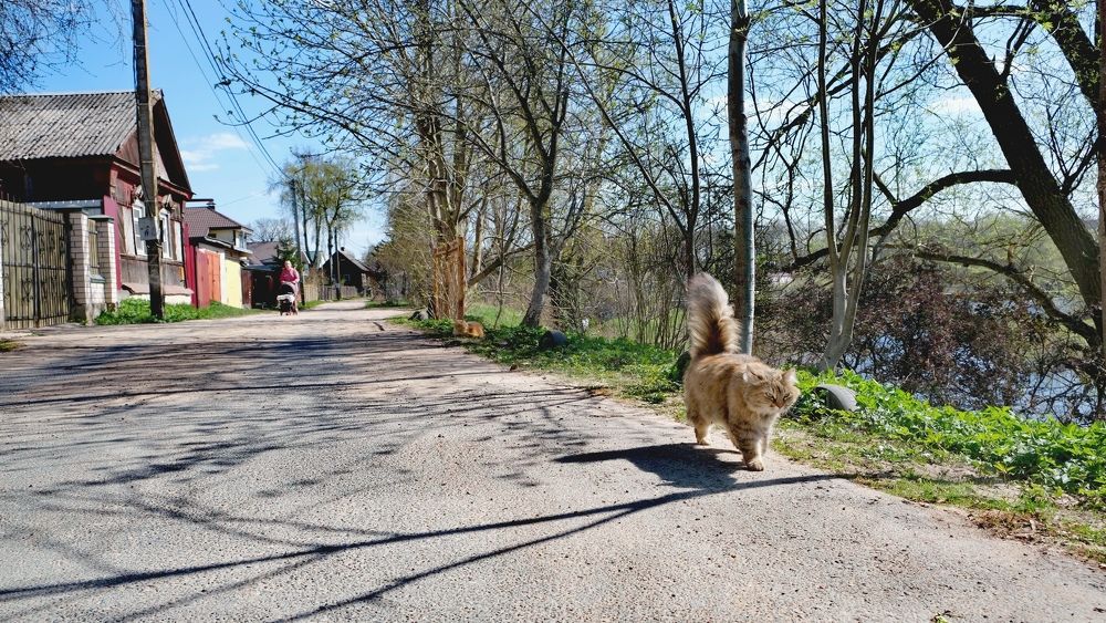 Photograph by Наталия Питолина