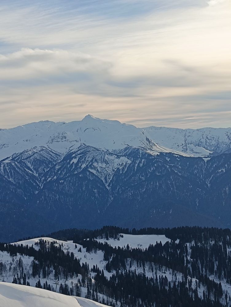 Фотография автора Елена Александрова