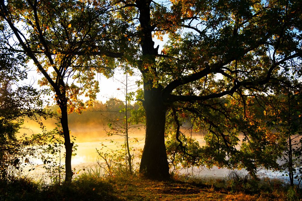 Photograph by Алиса