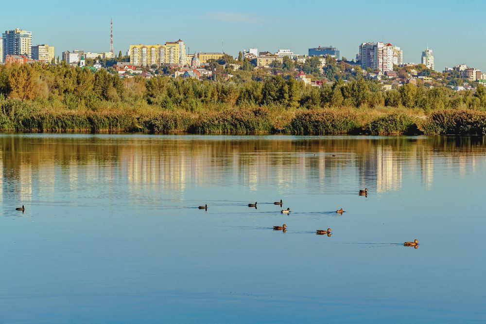 Утром с берега на другой..